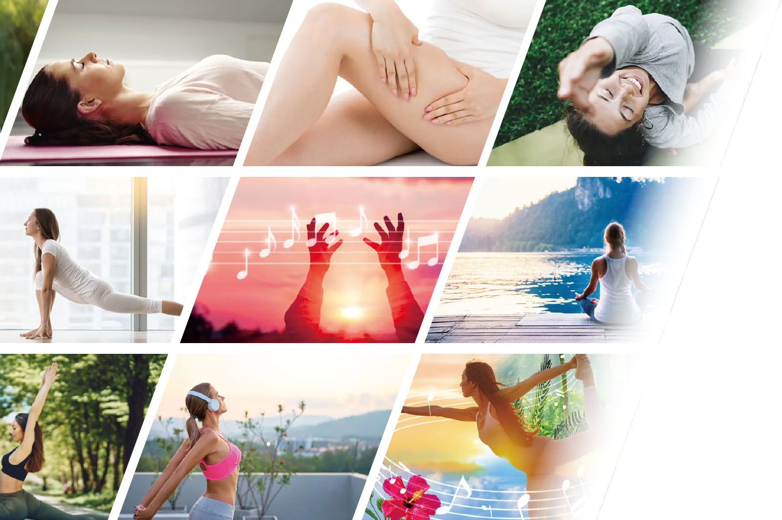 多彩なプログラムイメージ